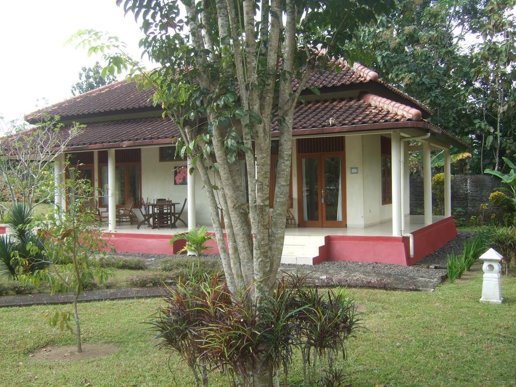 Guesthouse Rumah Senang Kalibaru Экстерьер фото